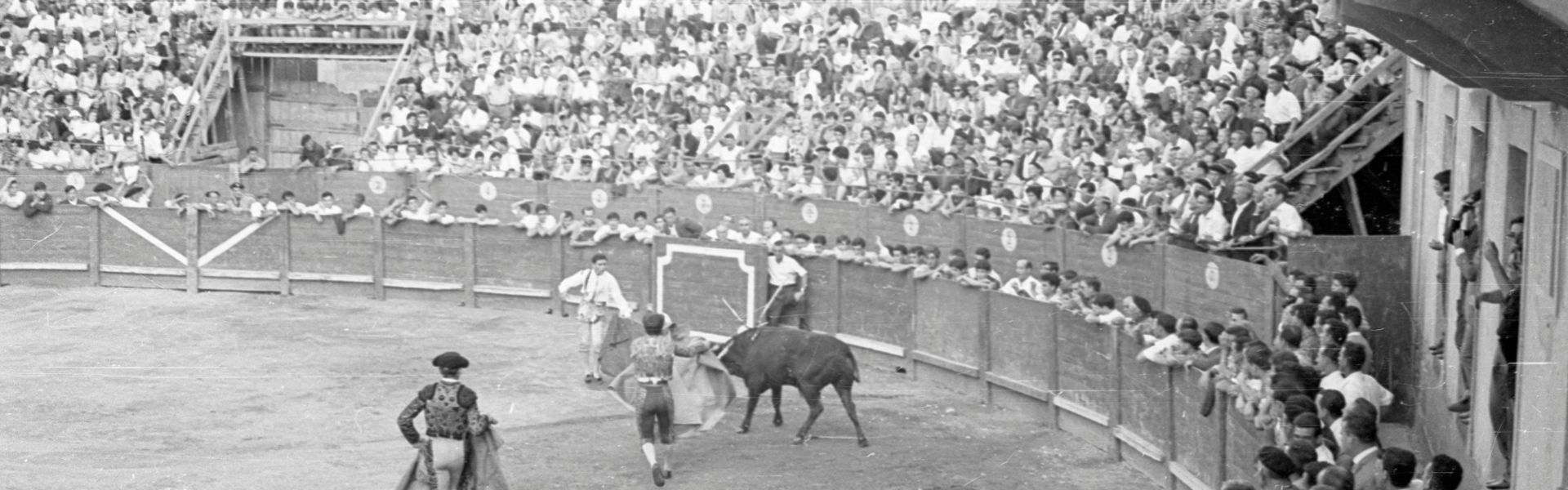 Erakusketa: Celebrando los 40 años del Club Taurino sangüesino